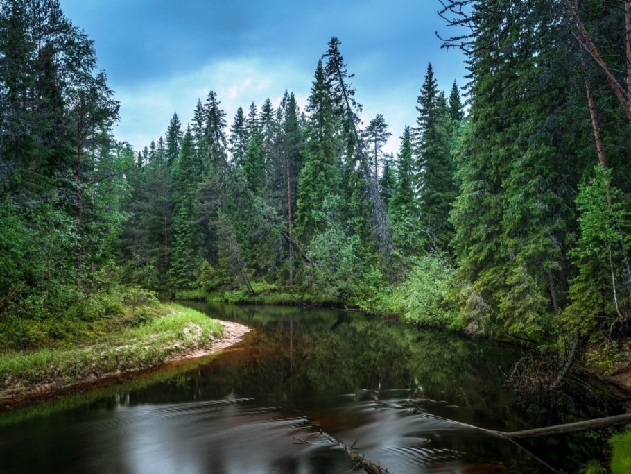 Тайга Ергаки