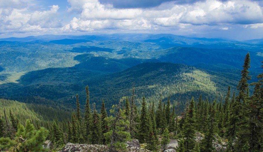 Сибирь Тайга и река