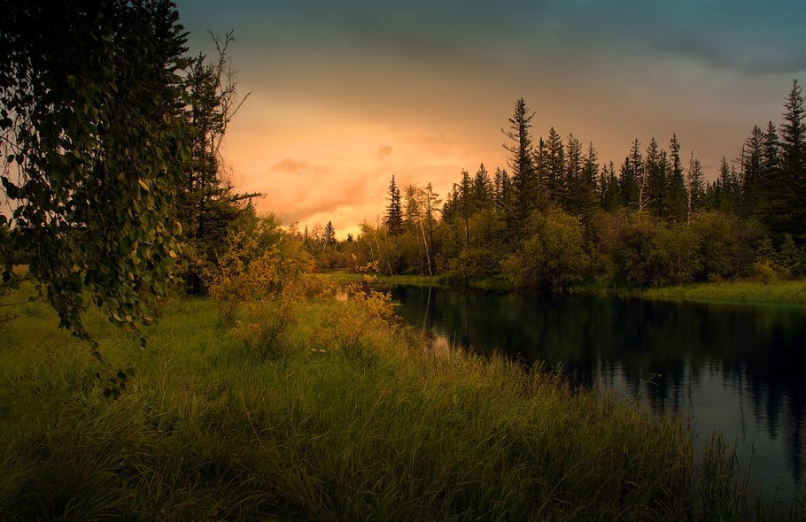 Пейзажи Сибири Тайга