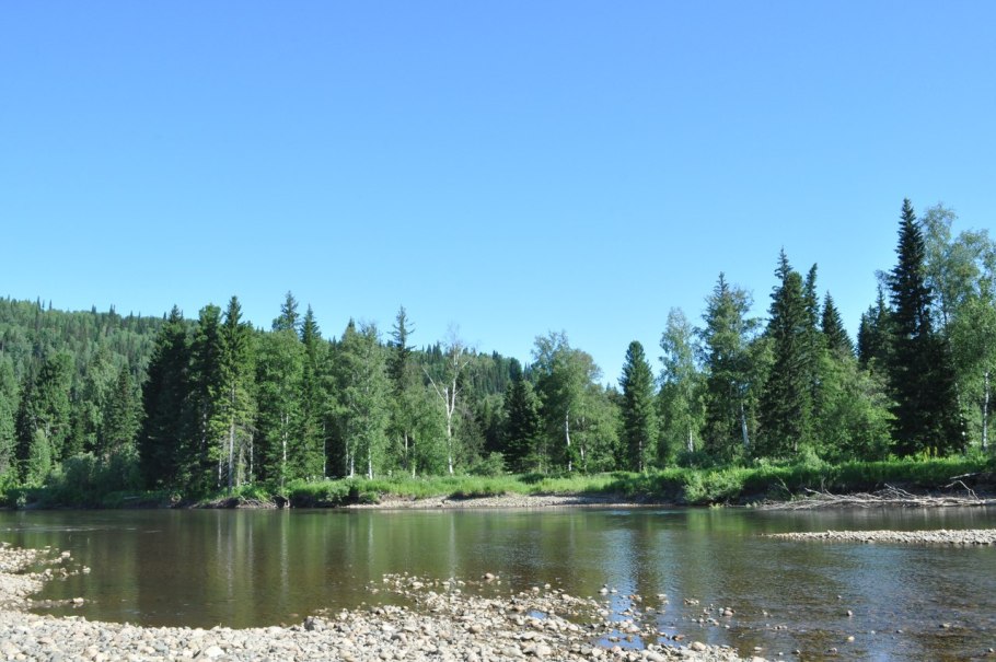 Карелия Тайга