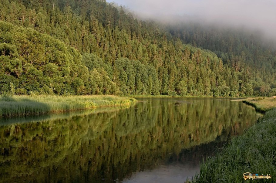 Восточная Сибирь Восточная Сибирская Тайга