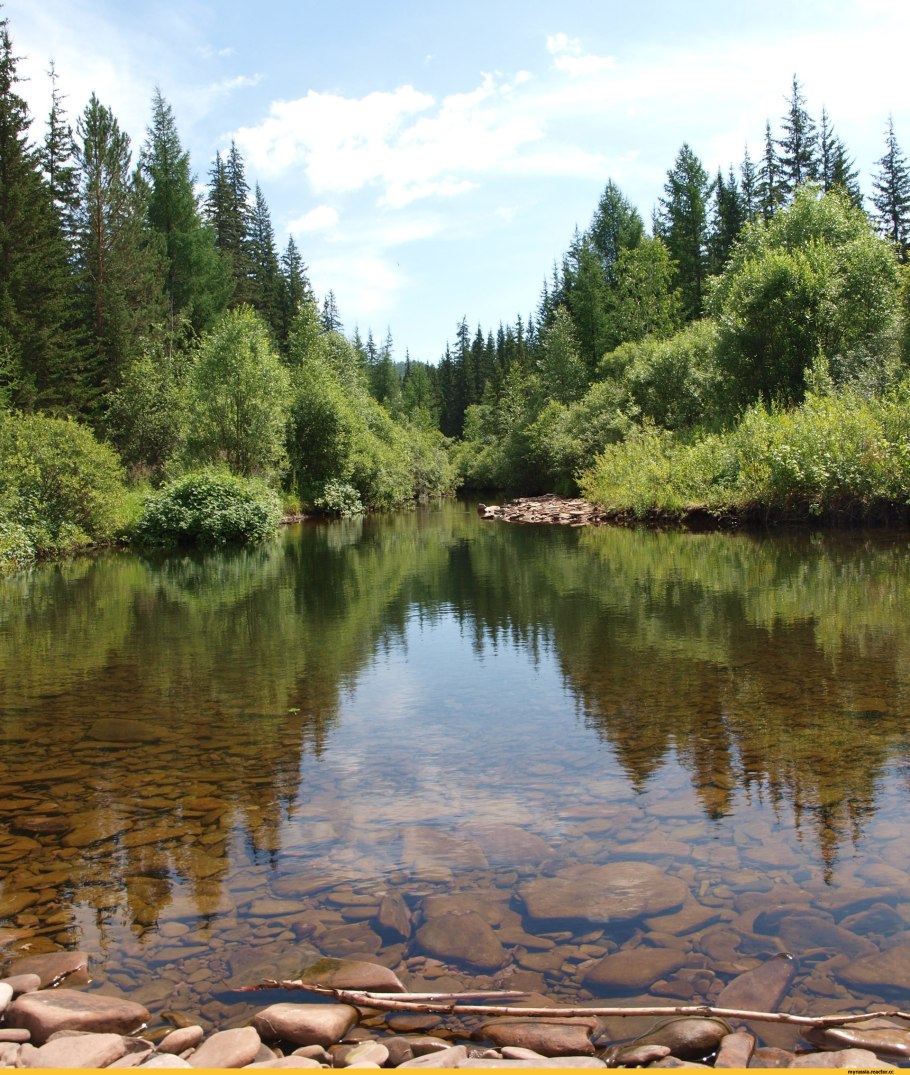 Восточносибирская Тайга реки