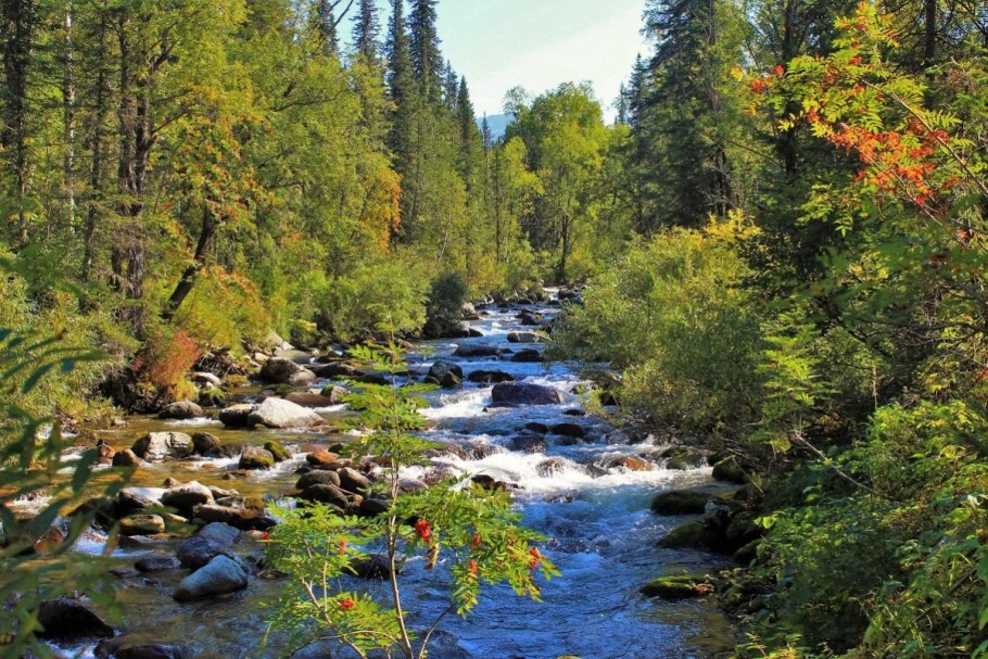 Озеро в сибирской тайге
