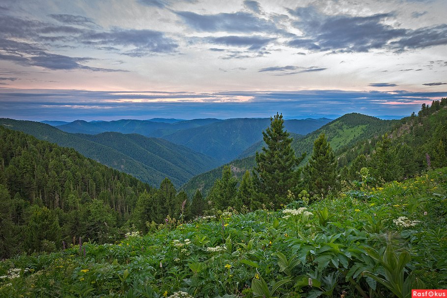 Карельское Лесное озеро