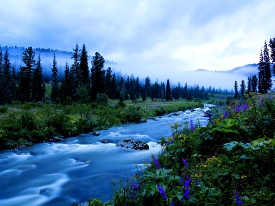 Пинежский заповедник Архангельской области