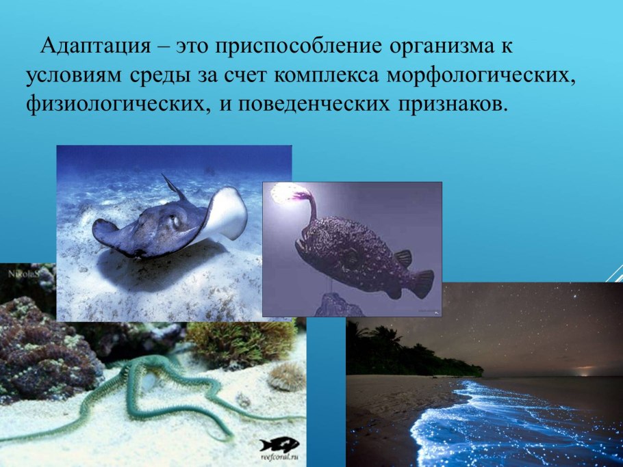 Среды жизни на земле