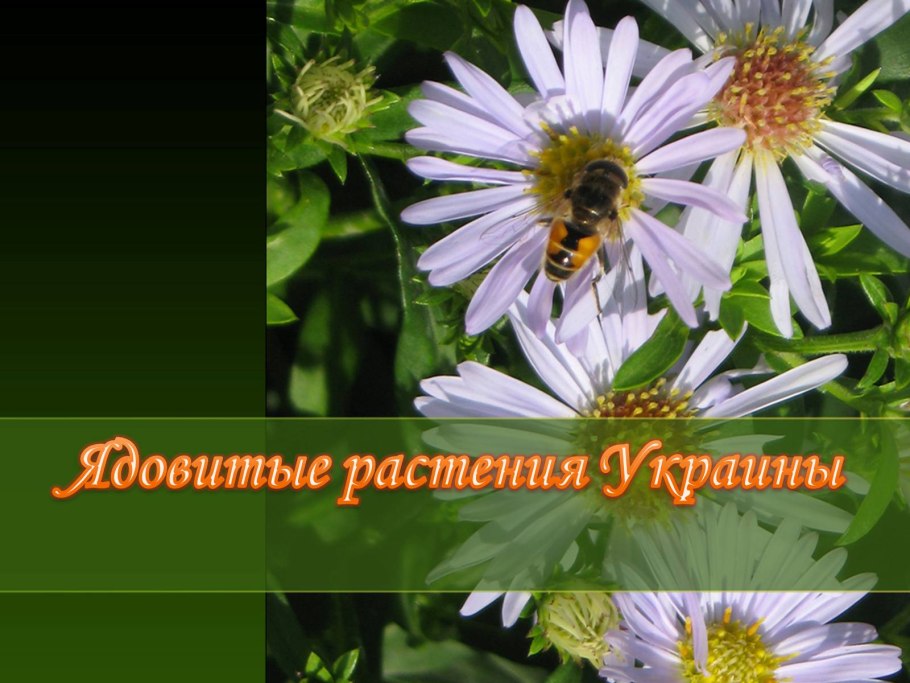 Среда обитания