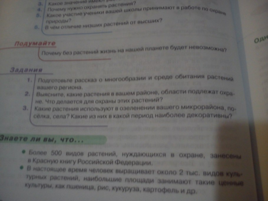 Пословицы про муравья для детей
