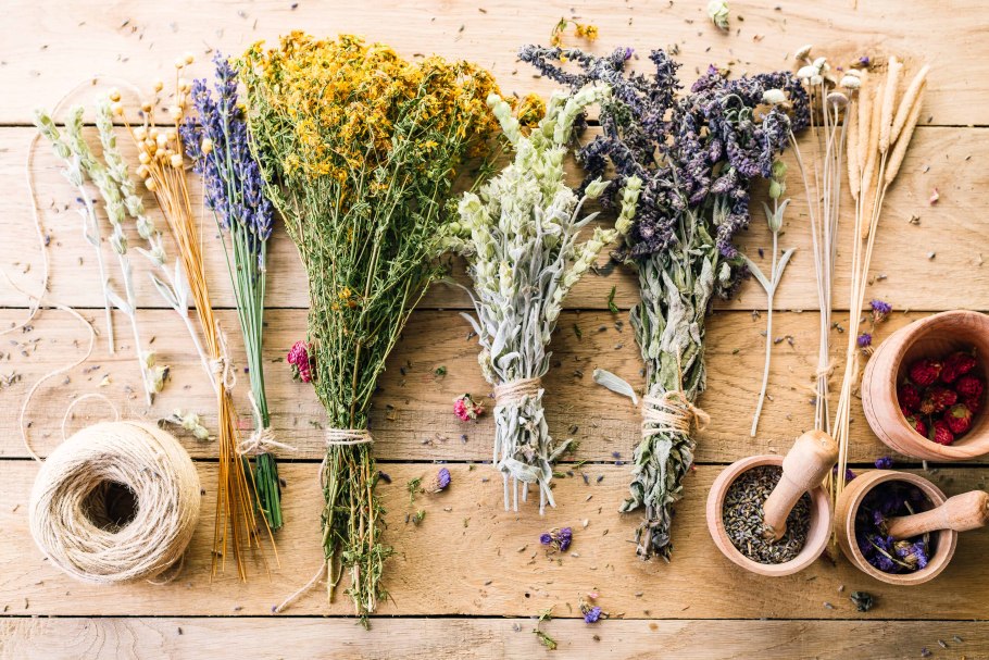 Лекарственные травы