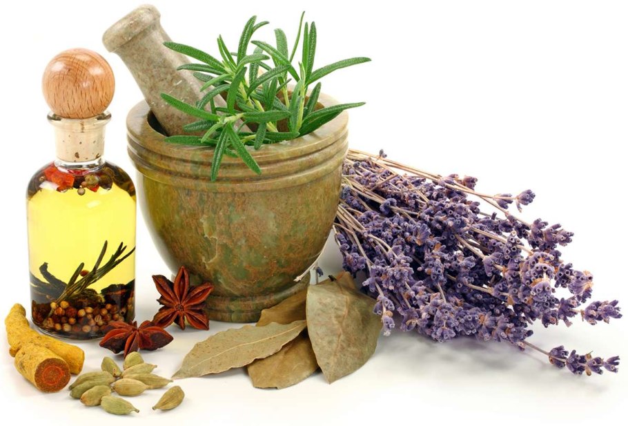 Лекарственные травы фитотерапия