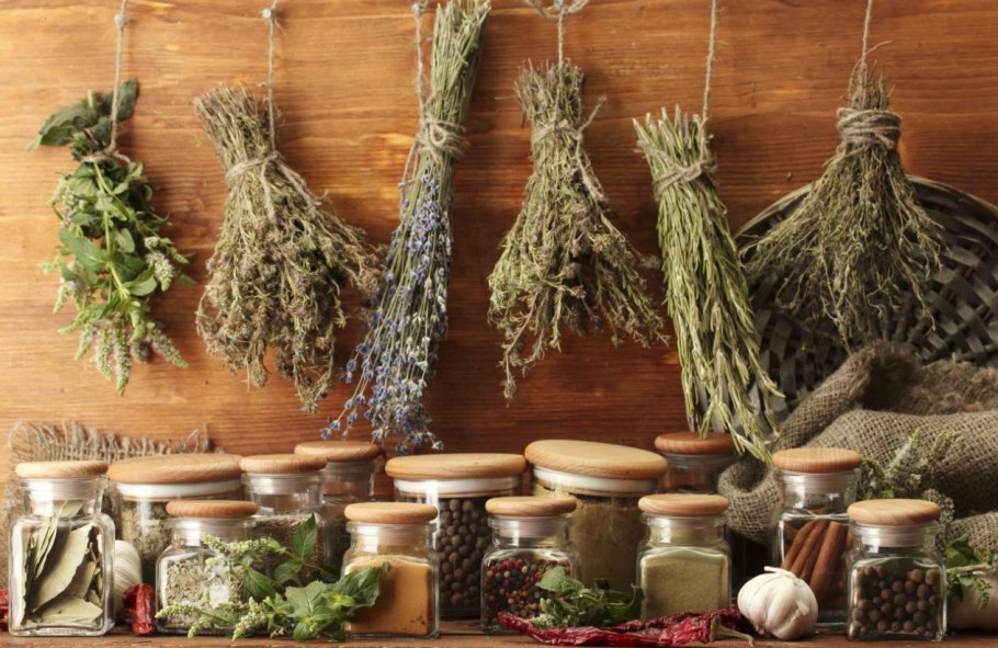 Лекарственные травы