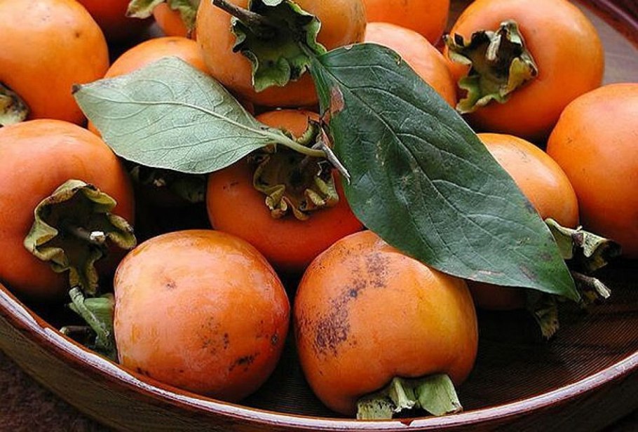 Хурма сорт шишбурун