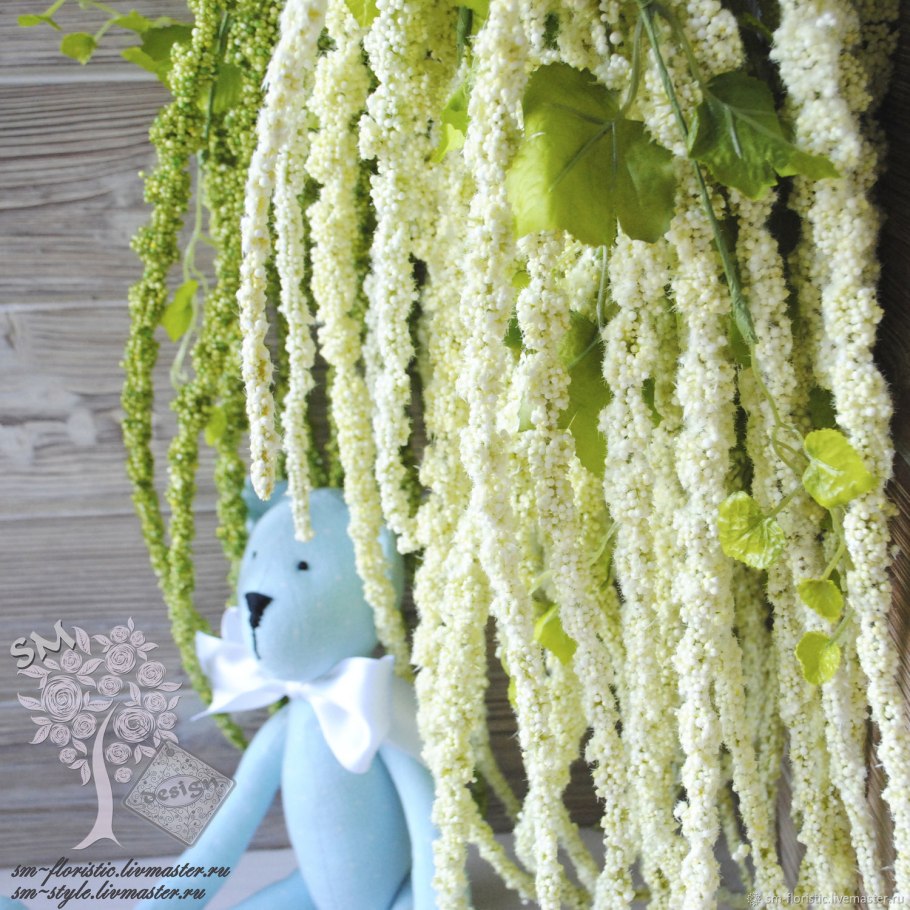 Амарант зеленый