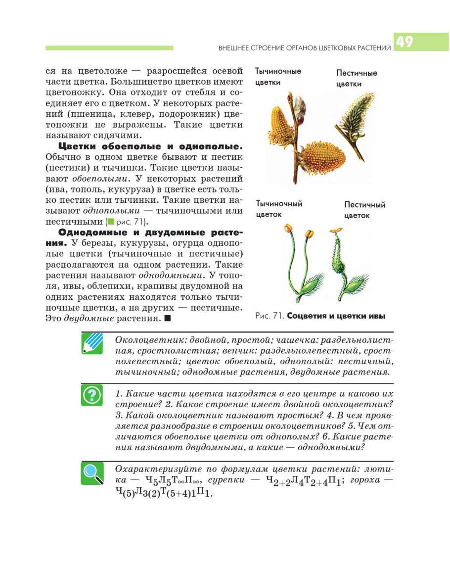 Какие растения двудомные