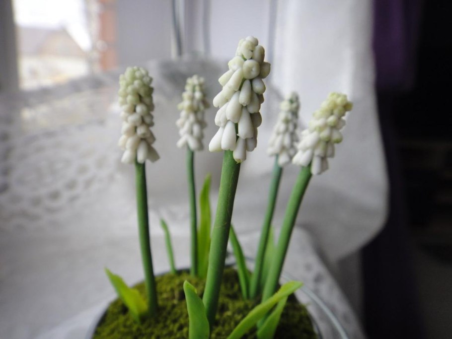 Суринамская вишня Питанга