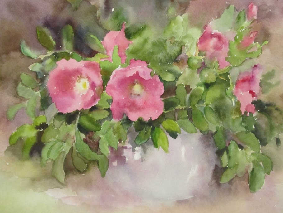 Растение Евгения село и фото