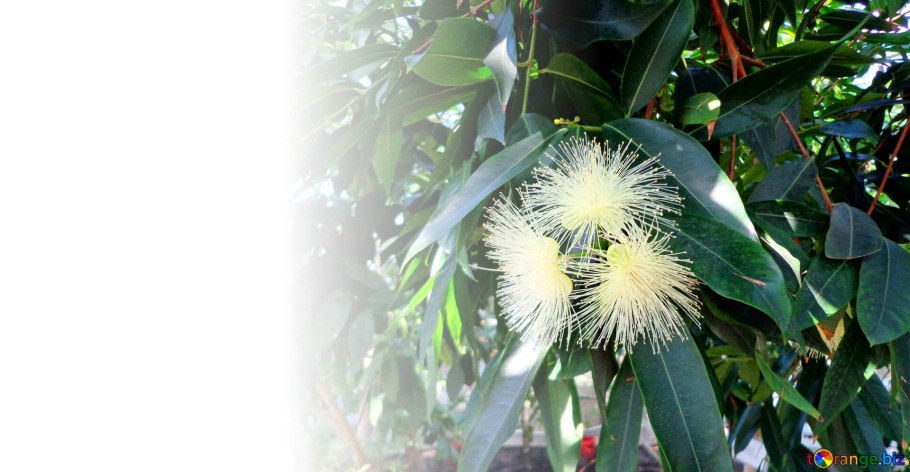 Весенний Ульяновск