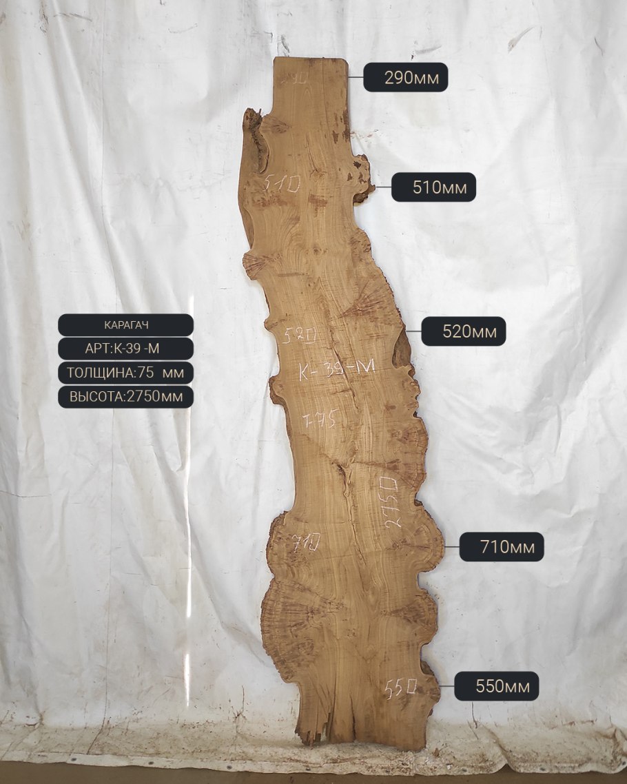 Слэб карагач