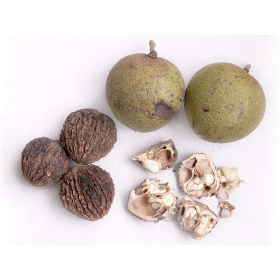 Орех черный - Juglans nigra листья