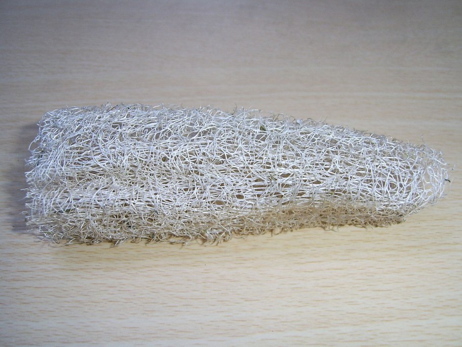 Люффа растение