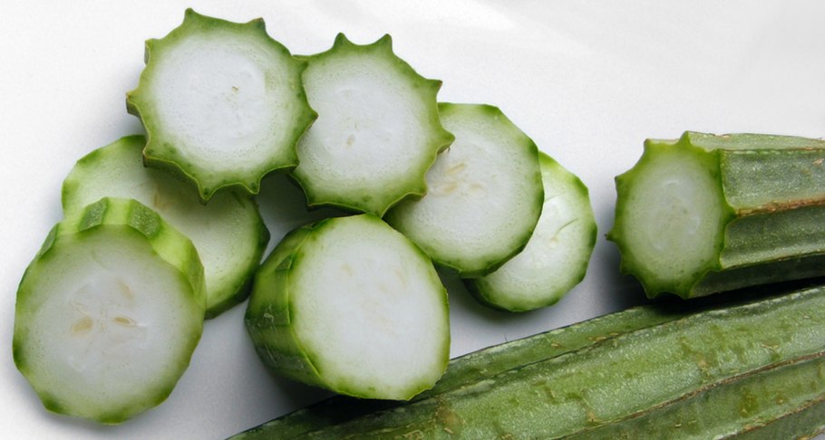 Люффа Египетская