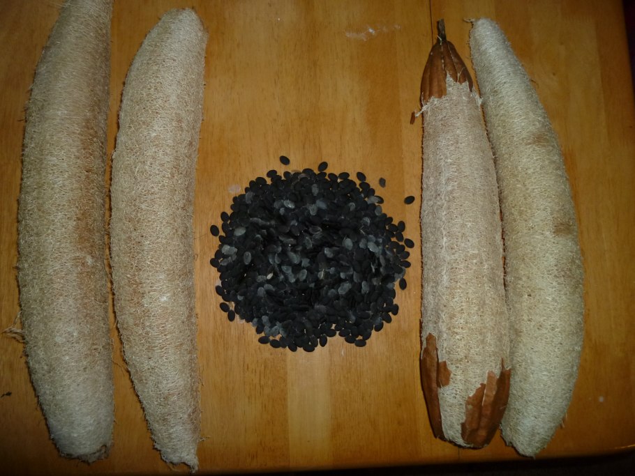 Люффа Лиана