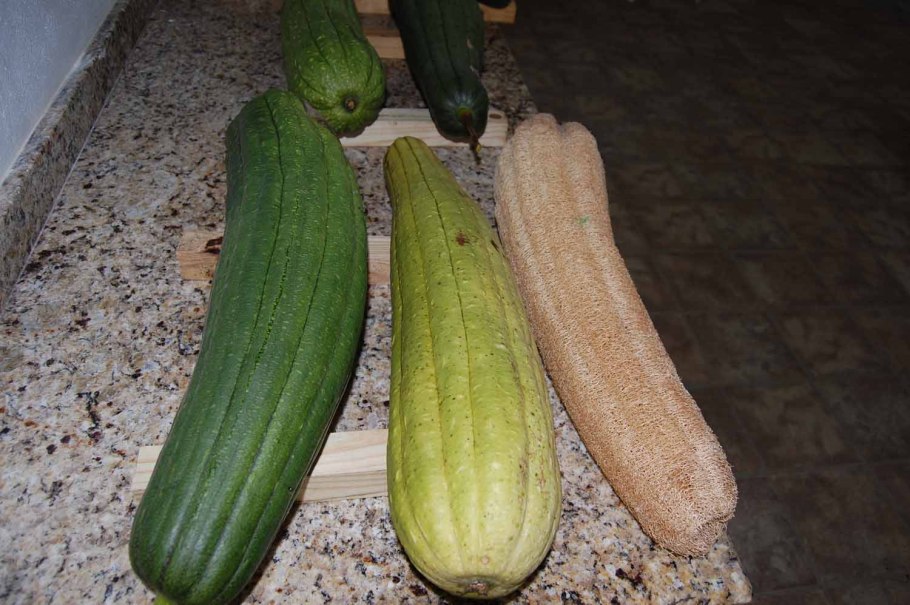 Люффа мочалка натуральная