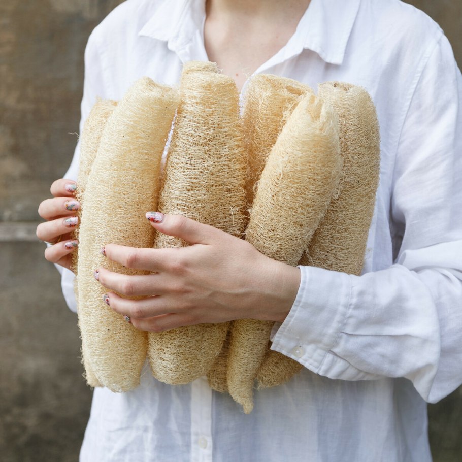 Семена люффы египетской