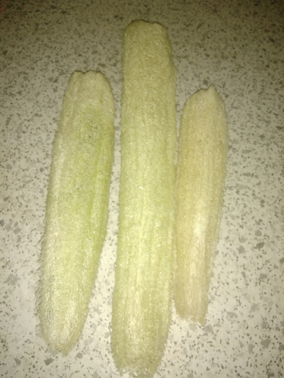 Люффа растение