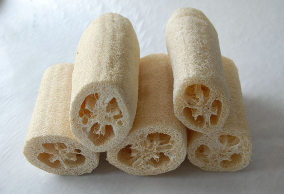 Люффа остроребристая цилиндрическая