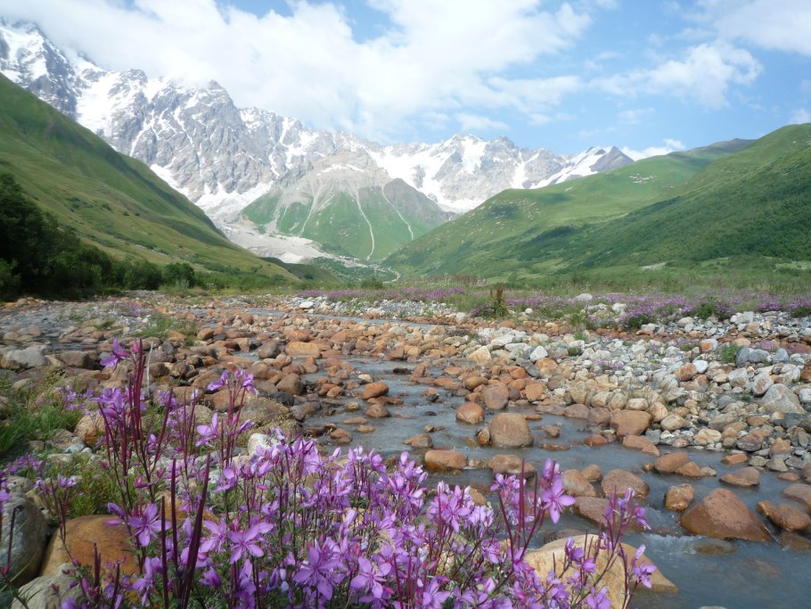 Сон трава прострел снег