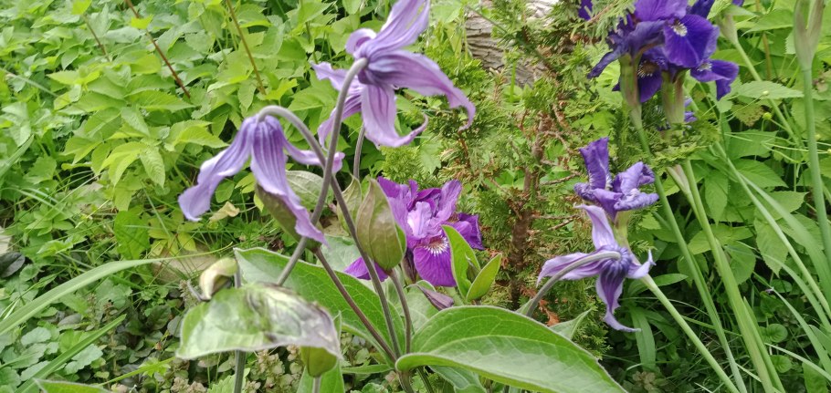 Самые красивые фото Байкала зимой