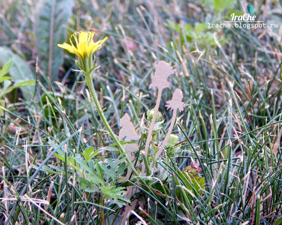 Ледяной парк в Пермском крае
