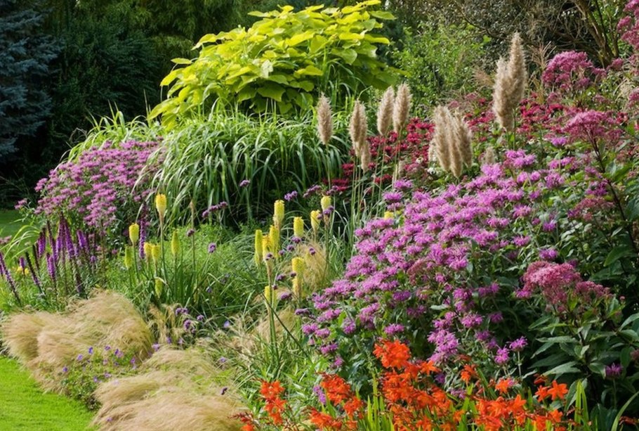 Лиатрис миксбордер