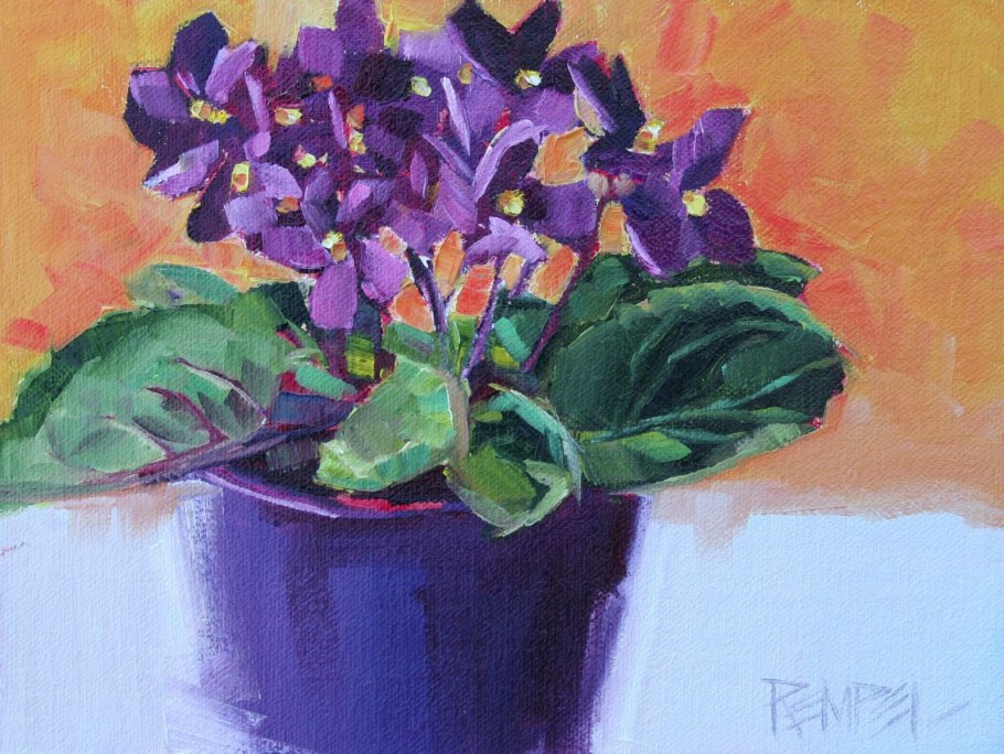 Фиалка Миднайт Твист