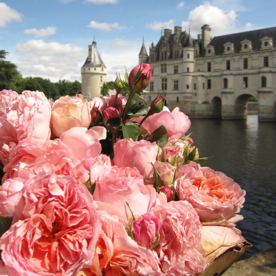 Сады замка шенонсо