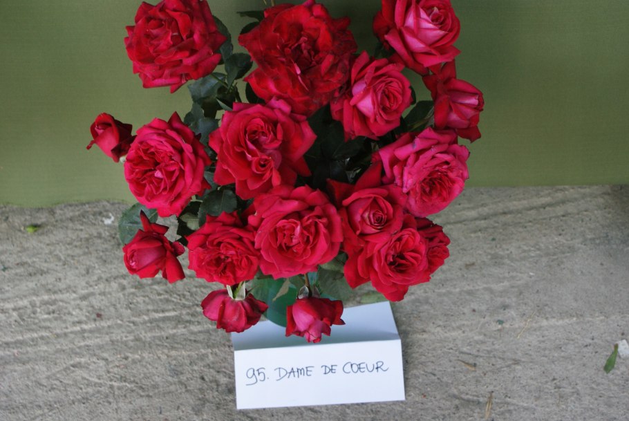 Роза русселиана