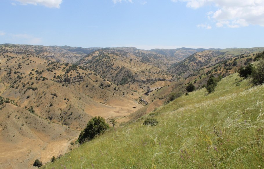 Ущелье Копетдага