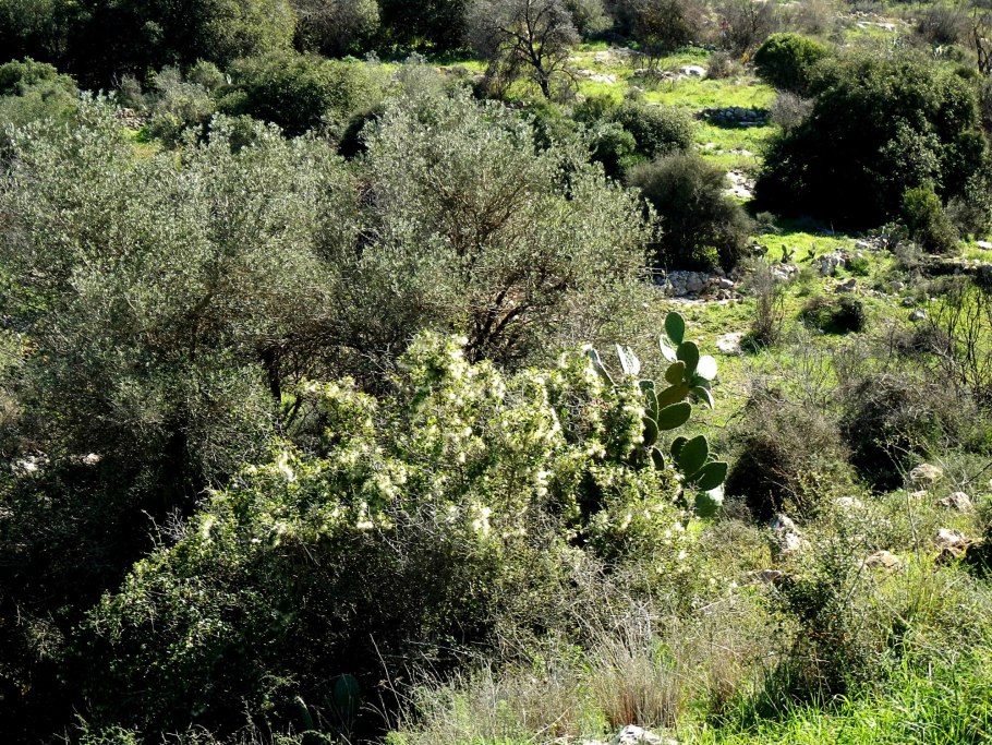 Микроволновка Панасоник nn-sd366w