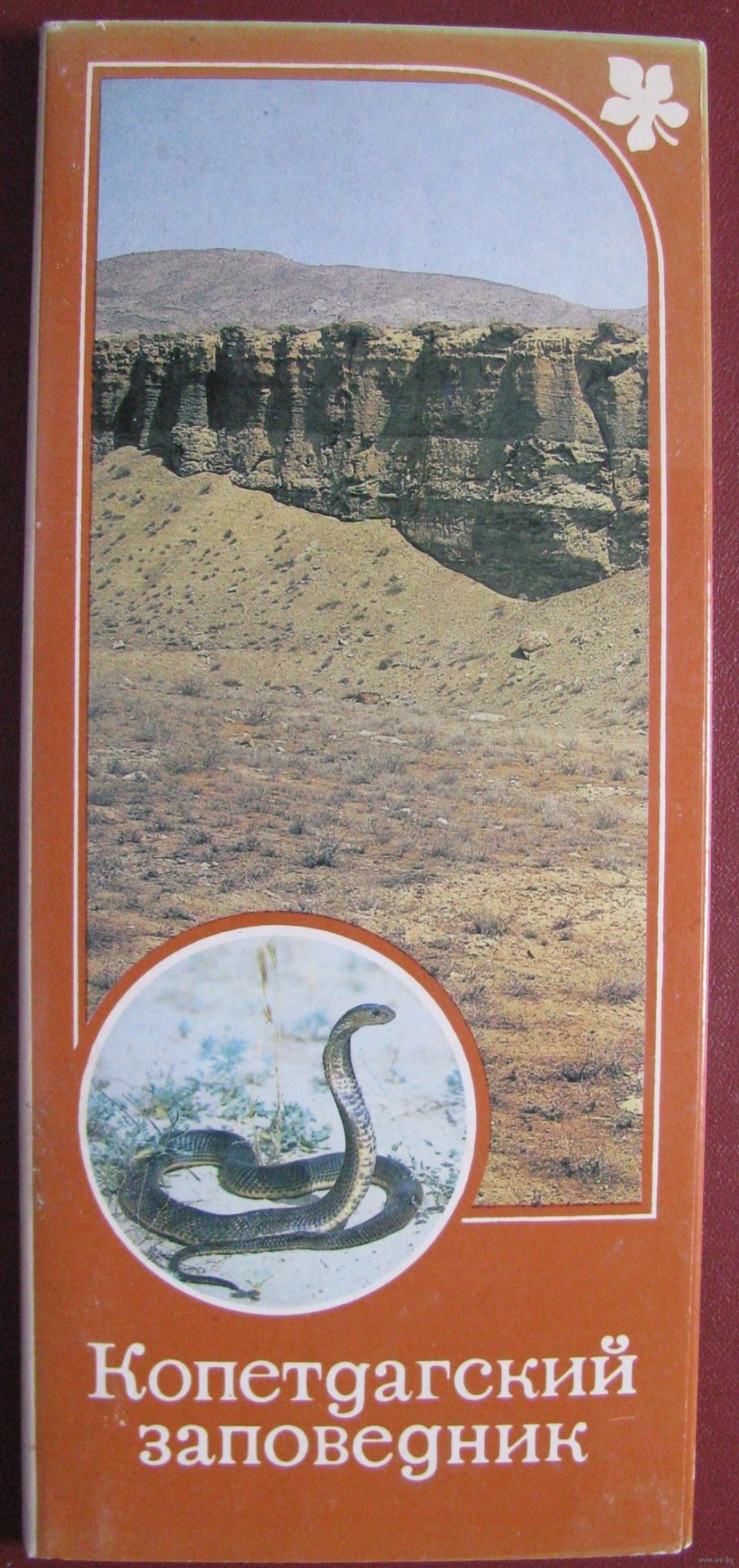 Вероника кастепанова