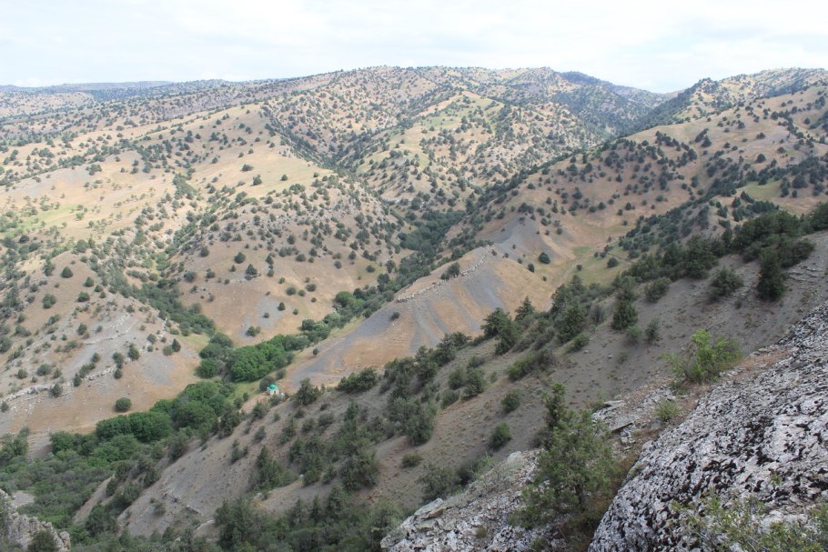 Вероника Пеньковская модель