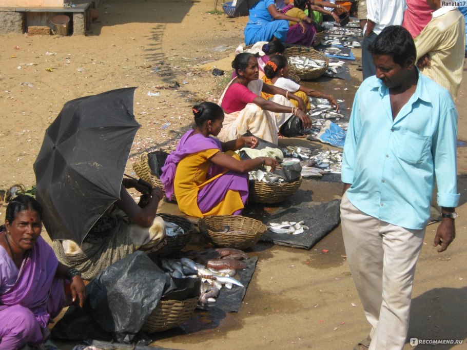 Индия лучшее