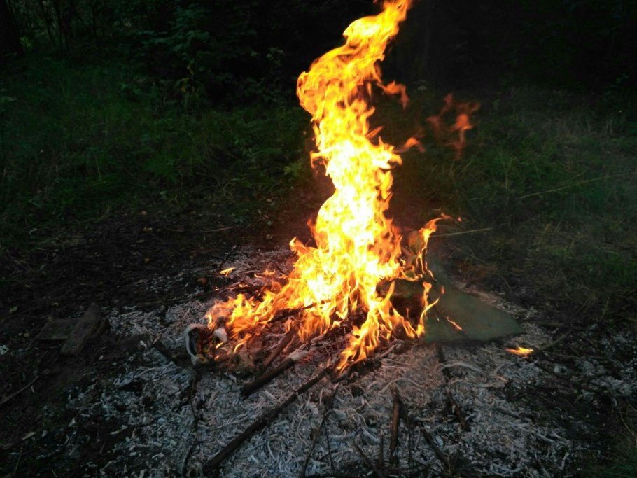 Костер в лесу