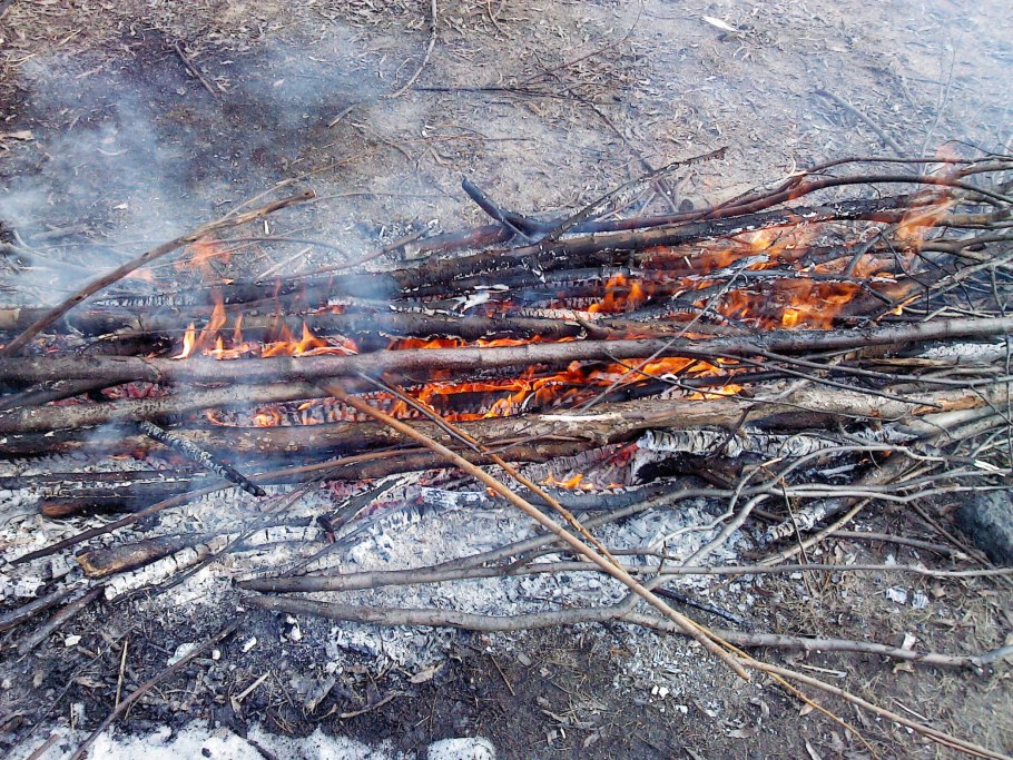 Огонь в лесу