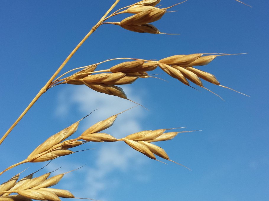 Костер в лесу на песке