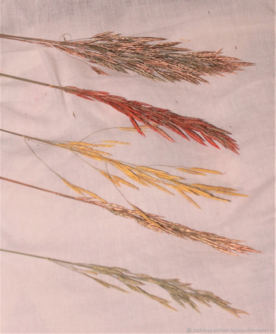 Костер на личном участке