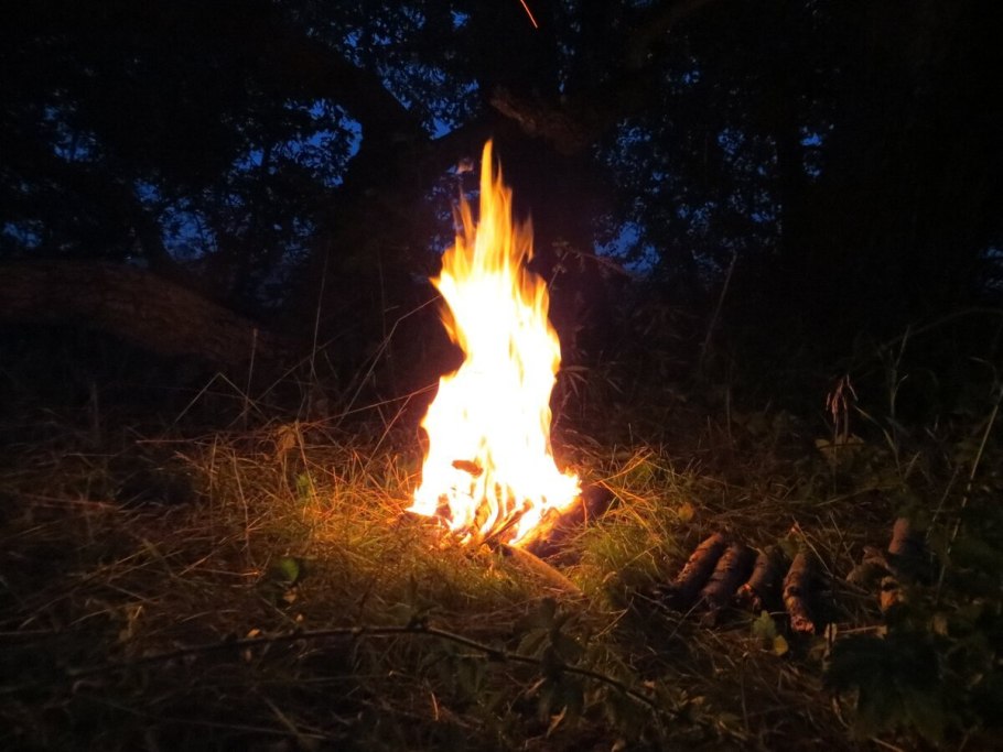 Костер в лесу ночью
