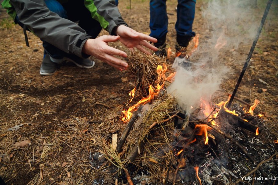 Огонь в лесу