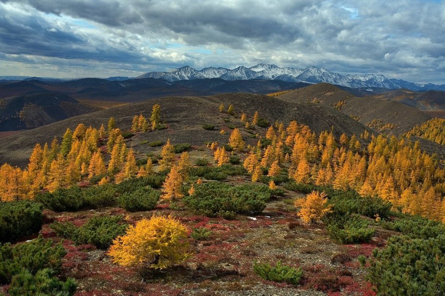 Сопки магаданской области