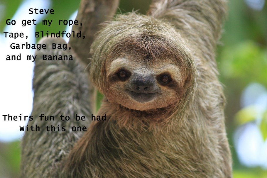 Чайка Тэйера